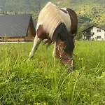 Jajce 2 Villa