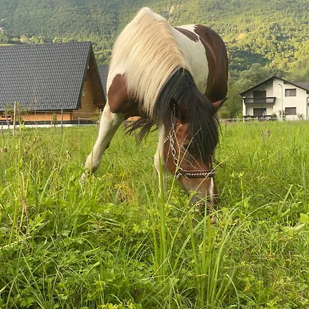 Jajce 2 Βίλα